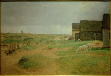 Gamle hus i Skagen